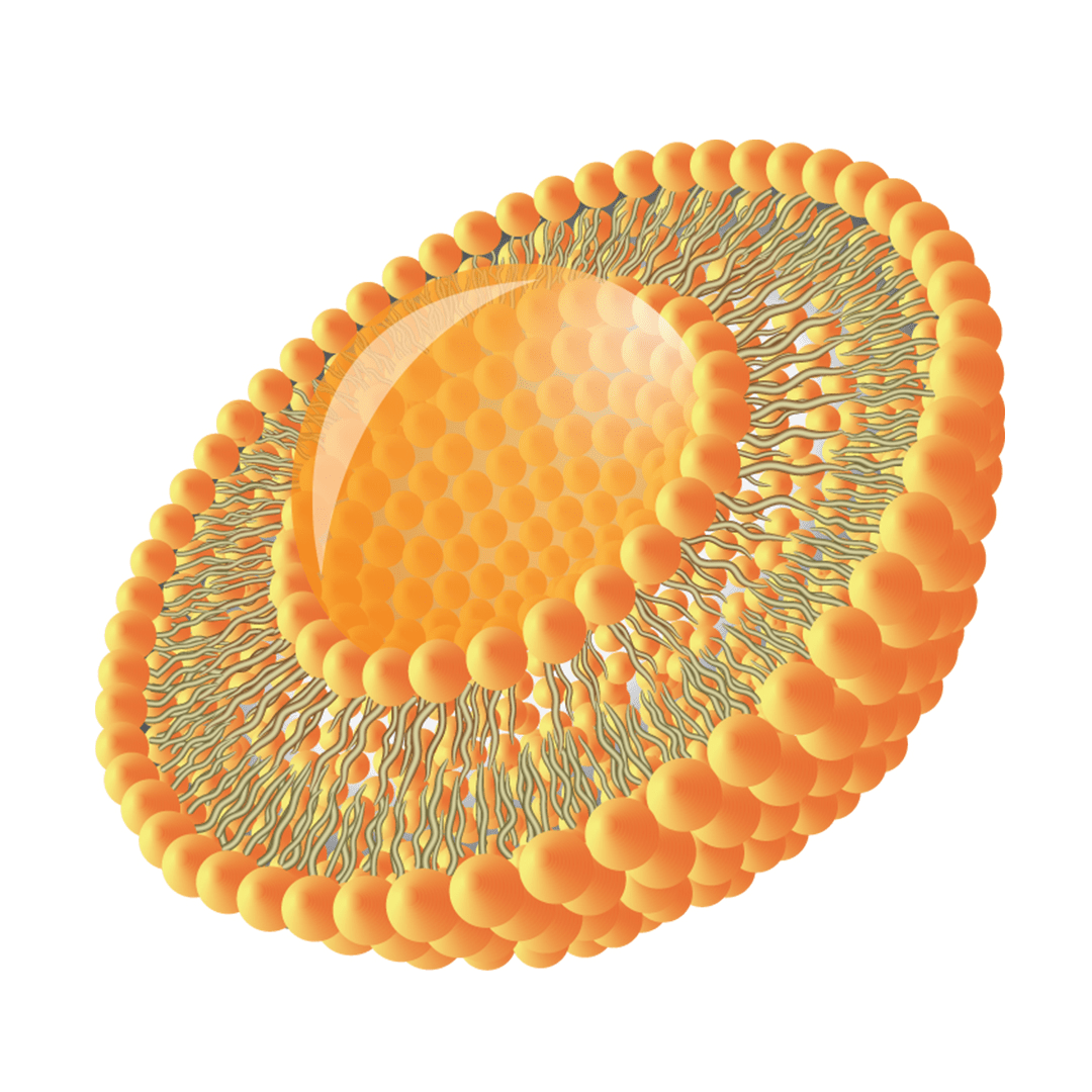 vitamins-img