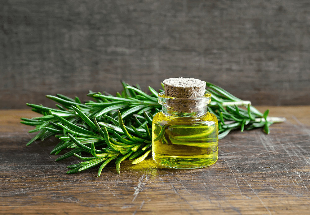 Calamus Oil