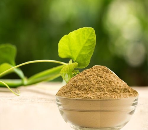 Cissus Quandragularis Extract