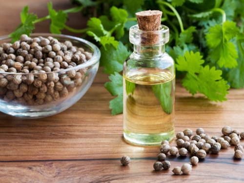 Coriander Seed Oil