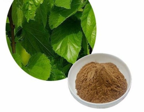 Mulberry Leaf Extract