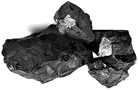 Shilajit Paste